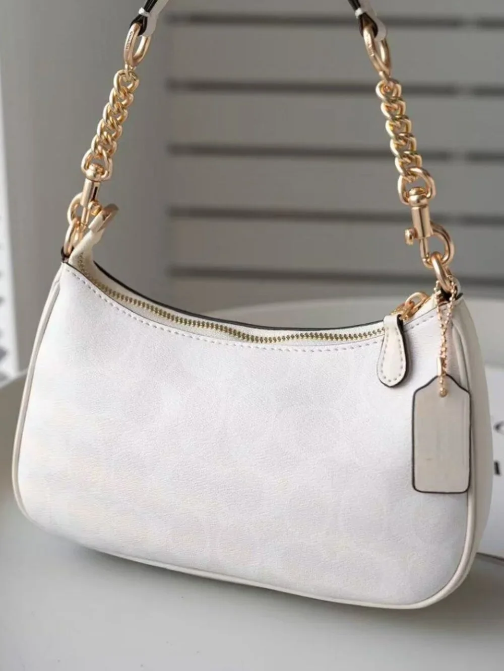 Coach Teri Shoulder Bag In Signature Canvas